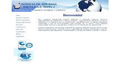 Desktop Screenshot of aduanasaeta.com